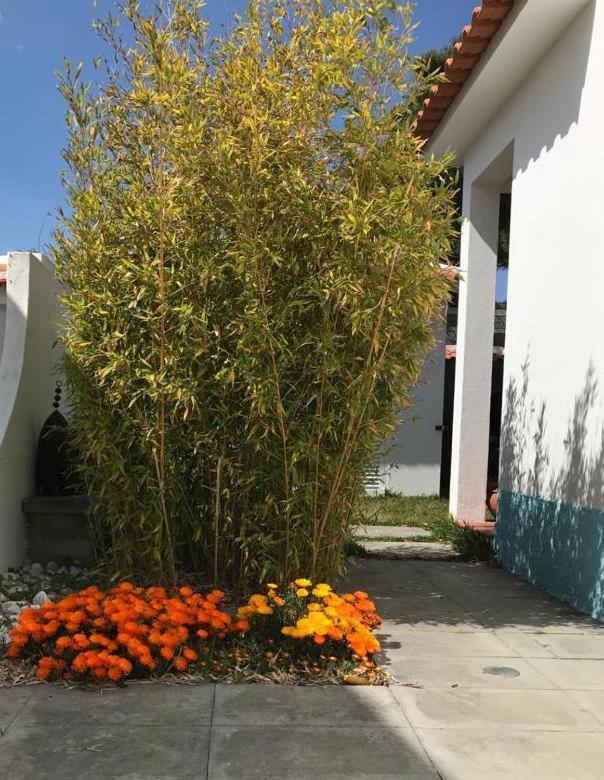 Santa Cruz Beach House Areias Exteriér fotografie
